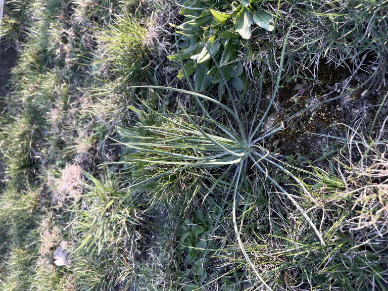 Agroturystyka u Jadzi — więcej zdjęć